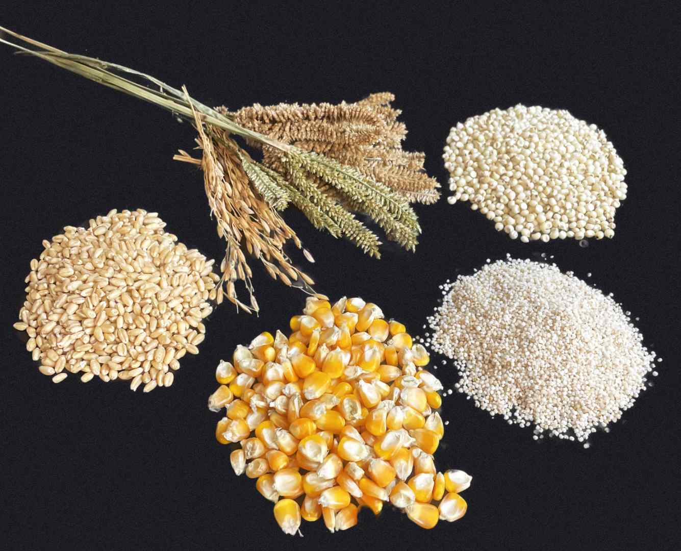 Millets Malt BabyMalt